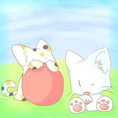 月瀬恵夢　（恵夢★猫）