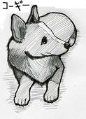らふぁ