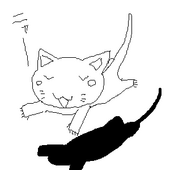 ヒジカタ
