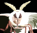 たれ