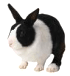 ヤモ