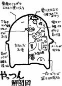 ヤツキアン