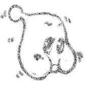 pipipi