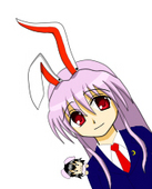 nikopun