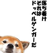 戸野風