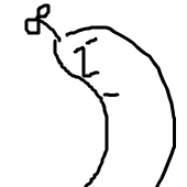 浣熊鴨