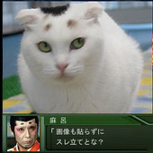 ﾊｨｲｲｲﾔｧｱｱｯｯｯ!