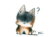 NGT_moke