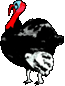 metheglin