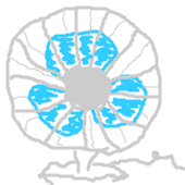 すう