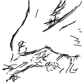ゆず
