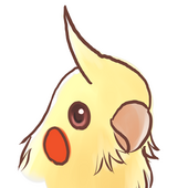 cockatiel