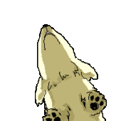 あんこ