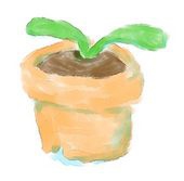 もみじしめじ