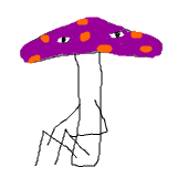 Mr.