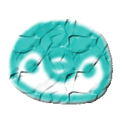 Pの子