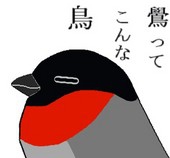 鷽＠Ｍａｘ13