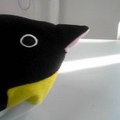 KOHIRO