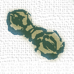 RNA