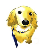 mino
