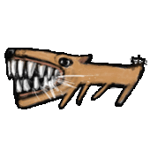 しゃいけ
