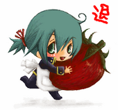 圭*