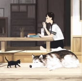 こより