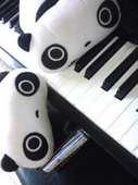 タチパネ