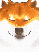 華岡