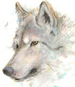 ▲WERE−WOLF▼