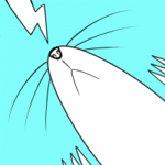 okojo