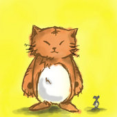 野良猫