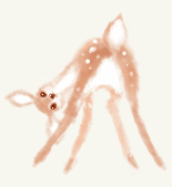 莔