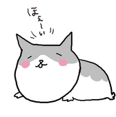 hayaruna