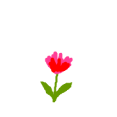 てけ