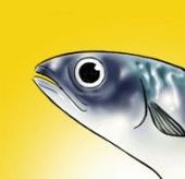 さばすけ