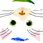 saury