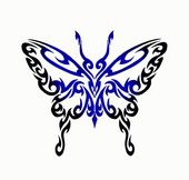 輝羅