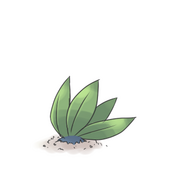 巣箱