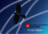 azarakko