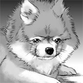 ゆき