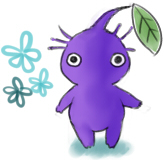 みずき