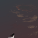 まつりか