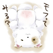 キクホ