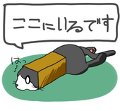 猫屋敷