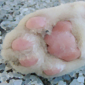 置き猫