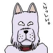 犬ォ