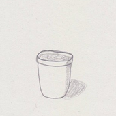 ruminata