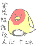さなぎのピラニア