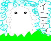 木綿子